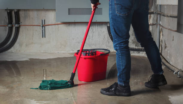 Best Professional water damage repair  in Sardis, MS