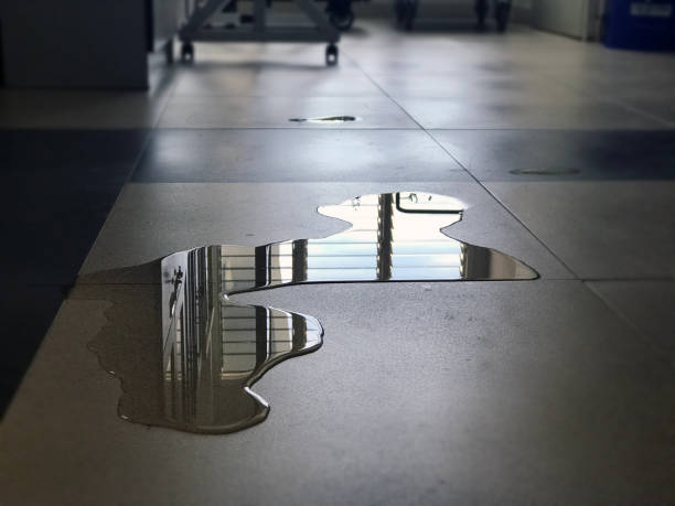 Best Commercial water damage restoration  in Sardis, MS