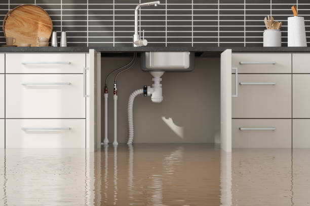 Best 24/7 water damage repair  in Sardis, MS