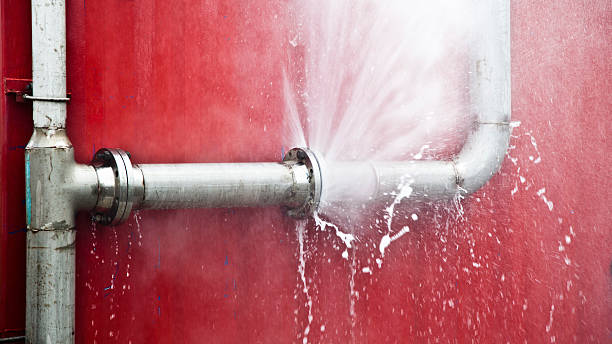 Best 24-hour water damage restoration  in Sardis, MS